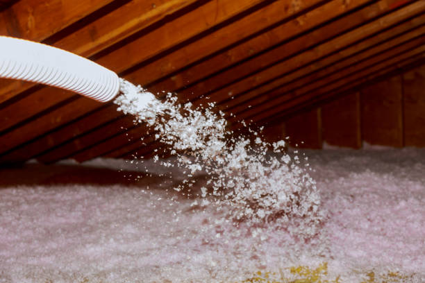 Types of Insulation We Offer in Hurley, MS