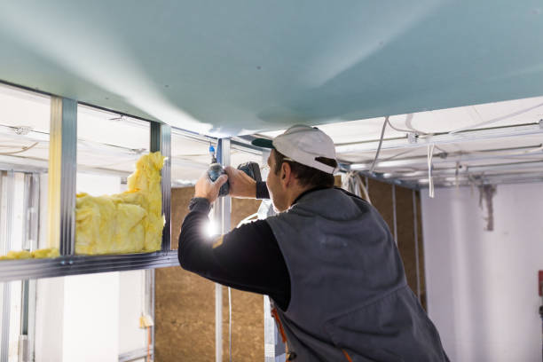 Best Specialized Insulation Services in Hurley, MS