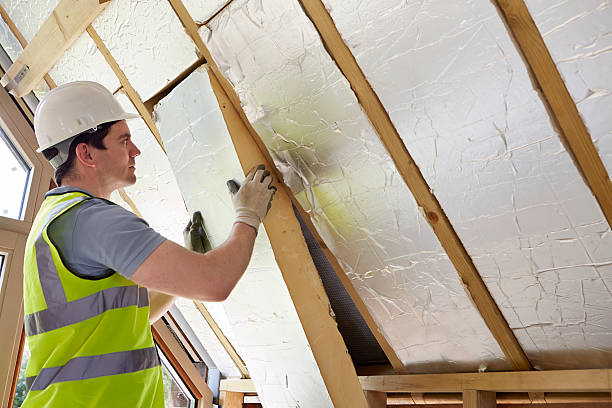 Best Specialized Insulation Services in Hurley, MS