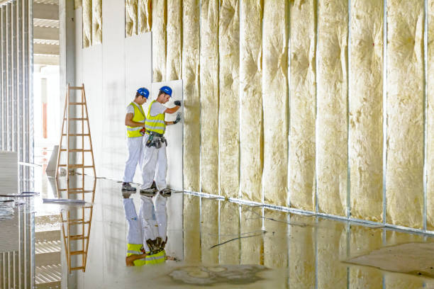 Best DIY Insulation Kits and Guidance in Hurley, MS